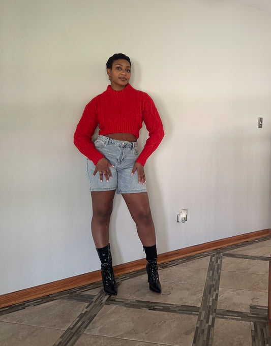 Ruby Woo Crop sweater