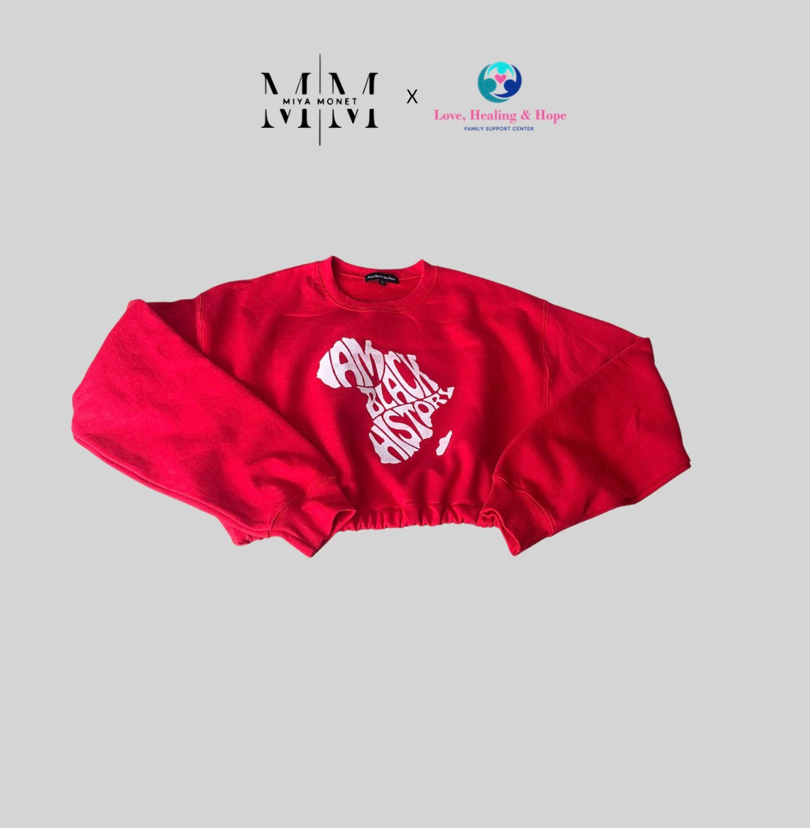 I am BLK history cropped sweater (Red)