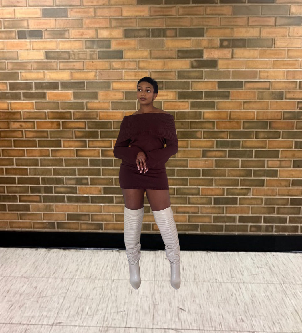 Dark Chocolate Sweater Dress